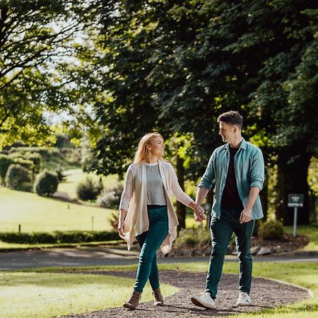 Millbrook Lodge Ballynahinch Dış mekan fotoğraf